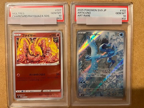 Set congelatore fuoco - congelatore,
